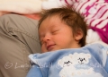 04 Babies 2011